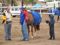 /international/2006Walvisbay/images/Stabling/thumbnails/walvis2 013.jpg